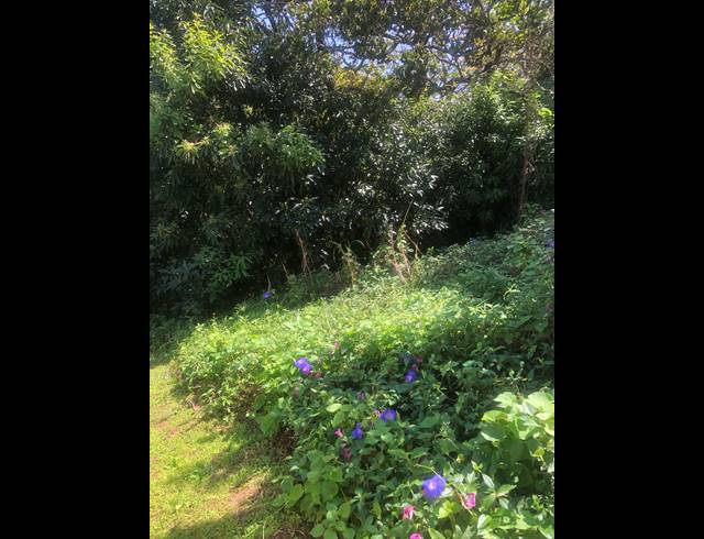 3,335M² VACANT LAND FOR SALE IN UMGENI PARK